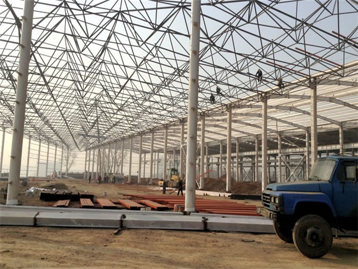 岑溪网架架构工程